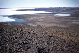 A very large river delta of water and eroded soil materials entering the sea. Tue sea ice at this...