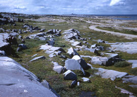 Shoreline of west coast of Hudson Bay at Churchill. Granite boulders with scrubby, stunted, very ...