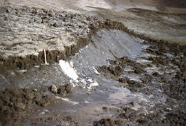 Close up view of tundra soil erosion and gravity movement. Permafrost ice, when melted made excel...