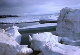 Pack ice, bergs, in the area of Amherst Island. Fury and Hecla Strait.
