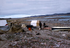 Quilliam Bay area with a small temporary Eskimo hunting camp site. Consisting of two families and...