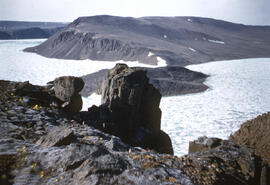 Coastal rock formations on the east coast of Ellef Ringnes Island. Yellow Arctic poppies visible.