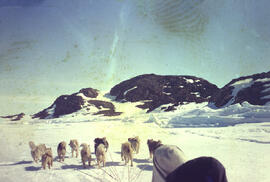 Coast travel by dog team between Glen Island and west coast of Melville Peninsula